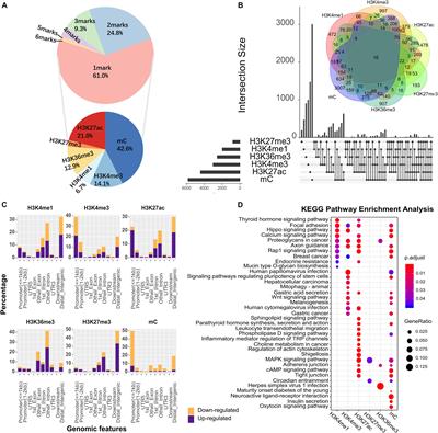 Epigenetic Variation Analysis Leads to Biomarker Discovery in Gastric Adenocarcinoma